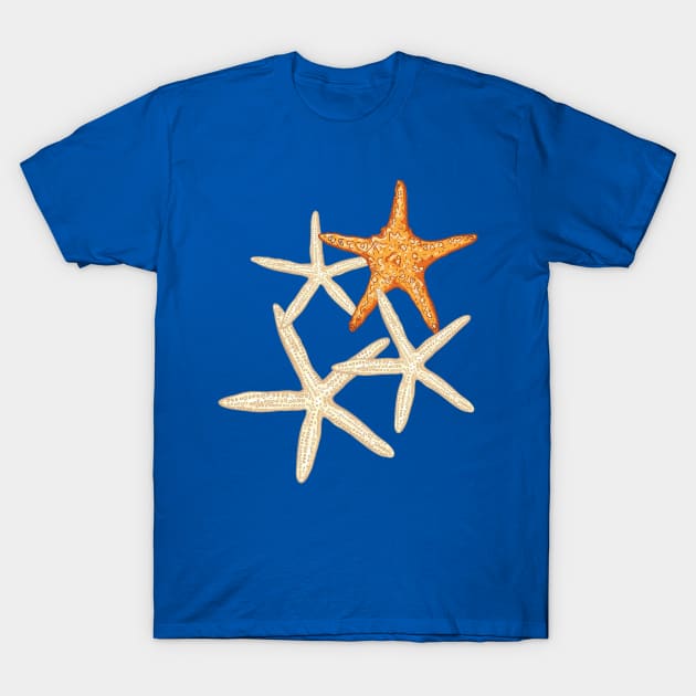 Starfish T-Shirt by SWON Design